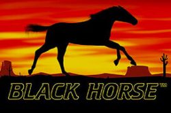 Black Horse